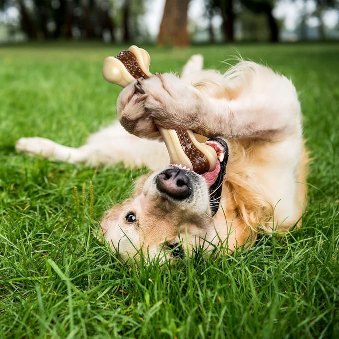 Sosation Bones Shaped Dog Toys for Aggressive Chewers, 2 Pack Dog Chew Toys Puppy Teething Nylon Beef Flavor for Large/Medium/Small Puppies Breeds(Curved Bone,Large)