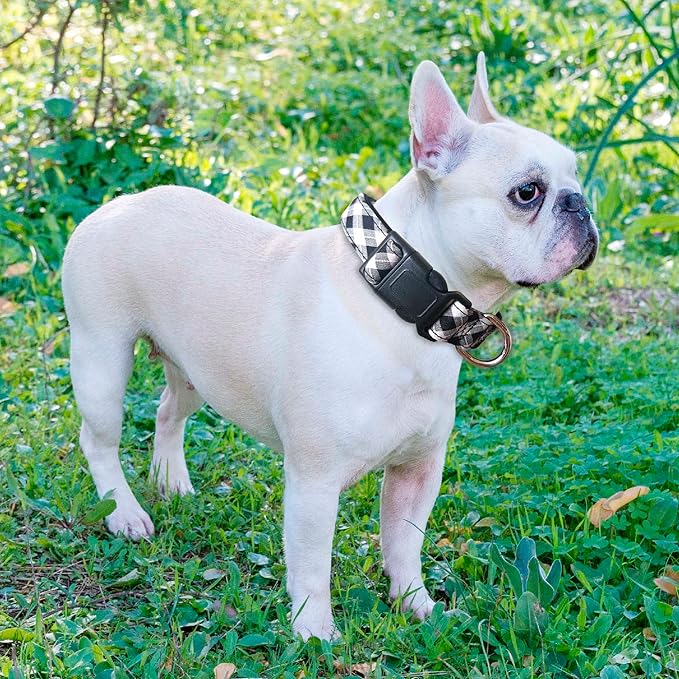 Reflective Dog Collar Padded with Soft Neoprene Breathable Adjustable Nylon Dog Collars for Small Medium Large Dogs (X-Small (Pack of 1), Black Plaid Collar+Leash)