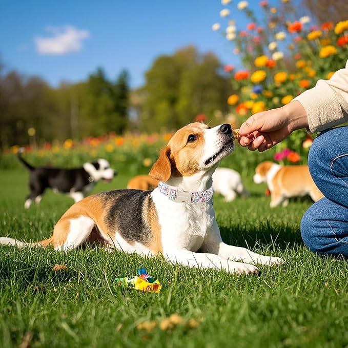 ARING PET Floral Dog Collar, Cute Purple Flower Spring Summer Pet Collars with Quick Release Buckle for Puppy Small Medium Large Boy Girl Dogs-S