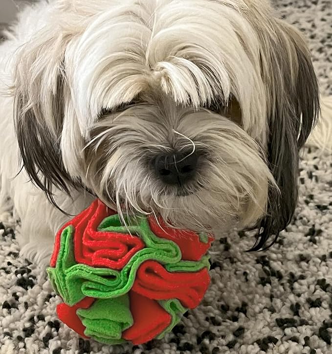 Puppy and Medium Breed Snuffle Interactive Foraging Dog Puzzle Ball Toy Christmas Green and Red Large