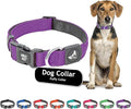 Kruz Dog Collar for Large Dogs (Width- 1.5", Neck - 20.5"-31.5") Adjustable Pet Neck Band with Comfortable Soft Padding, Lifetime Durability, Heavy-Duty O-Ring (Amethyst, X-Large)