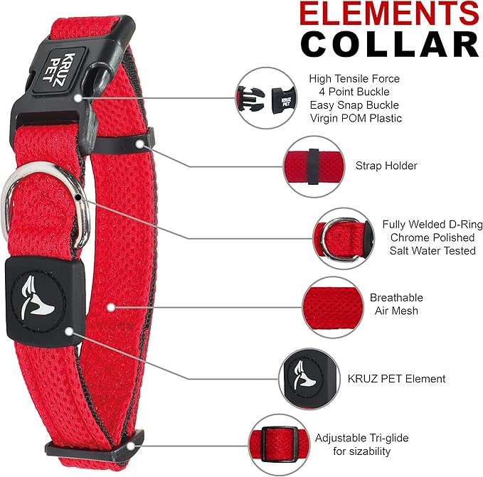 Dog Collar for Small Dogs (Width- 3/4", Neck - 10.5"-14.5") Adjustable Pet Neck Band with Comfortable Soft Padding, Lifetime Durability, Heavy-Duty O-Ring (Orange, Small)