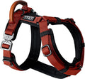 MADE TO ROAM Premium Explorer Harness - Y-Shaped Dog Harness with Adjustable Durable Nylon, Soft Padding, Metal Buckles and Leather Handle for Small, Medium, Large Dogs (Texas Flair, Size 4)