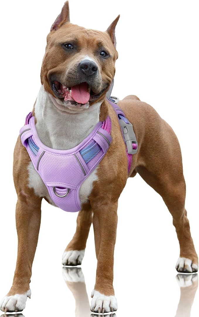 BARKBAY No Pull Dog Harness Large Reflective Dog Harness with Front Clip and Easy Control Handle for Walking Training Running with ID tag Pocket(Lavender Sky,L)