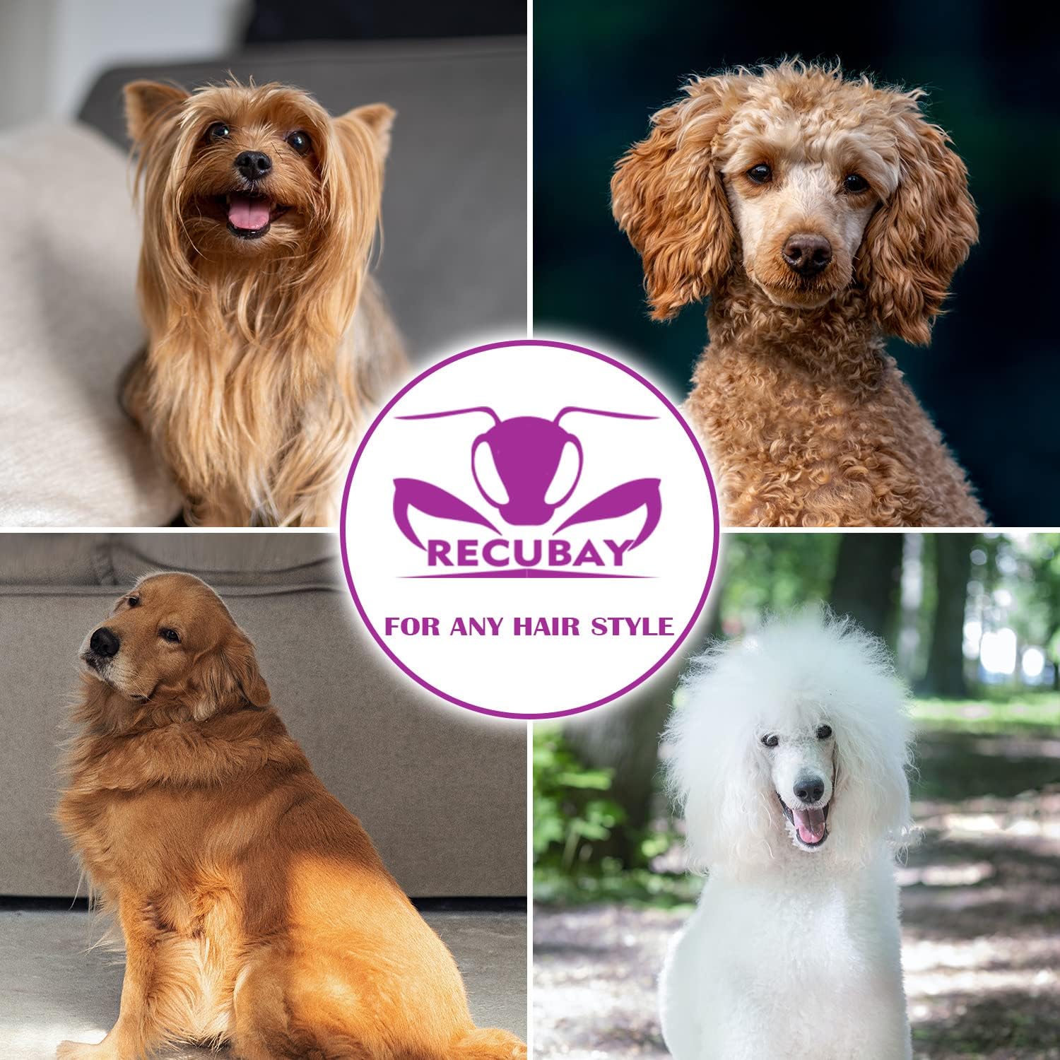 Dog Grooming Scissors, 8.0" Shears, Straight Scissors for Pet Hair Trimming. Matte Deluxe Dog Shears