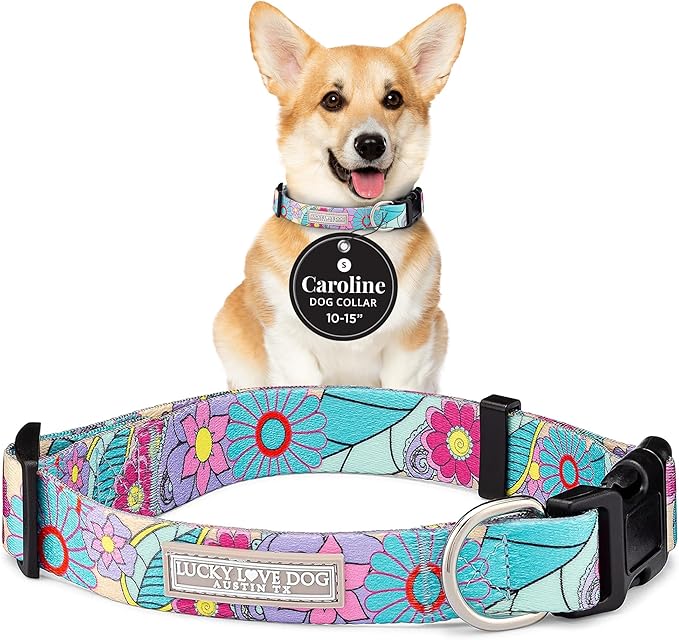 Lucky Love Dog Collars, Cute Small Dog Collars for Female Dogs, Part of Purchase Donated to Rescue, Caroline, Small
