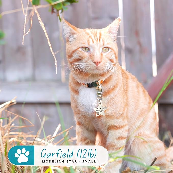 Ultra Joys Dog Tags Personalized for Pets - Hollow Paw Custom Pet ID Tag - Engraved Dog Tag for Small, Large Dogs - Small Star in Black