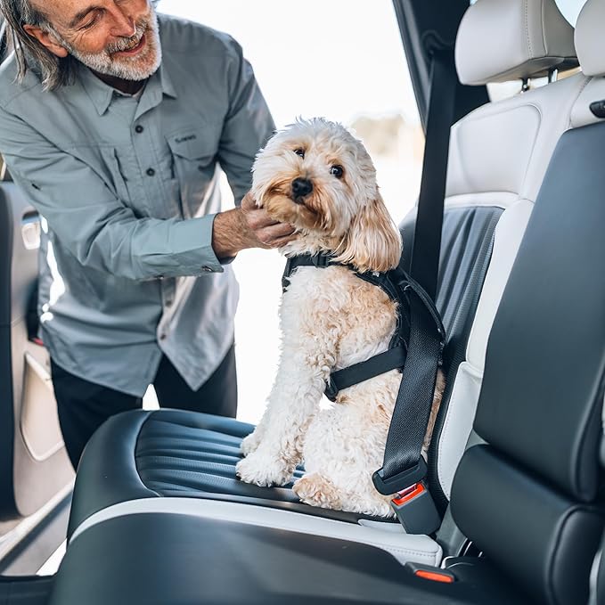 Thule Cappy Dog Harness S - Crash-Tested for Safety - Seatbelt passthrough - Adjustable & Easy to Clean - Padded Breathable mesh Panels - Leash Loop - Step-in Design