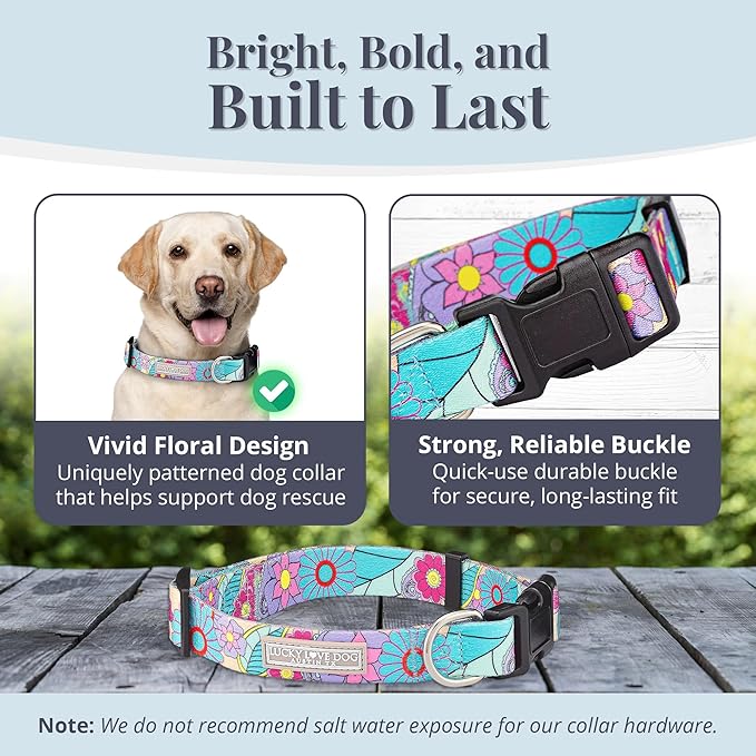 Lucky Love Dog - Adjustable Dog Collar with Easy Click Buckle for Small to Large Ones, Durable, & Comfortable for Male & Female Dogs, Pet Collar for Puppies & Adult Dogs - Caroline, XL