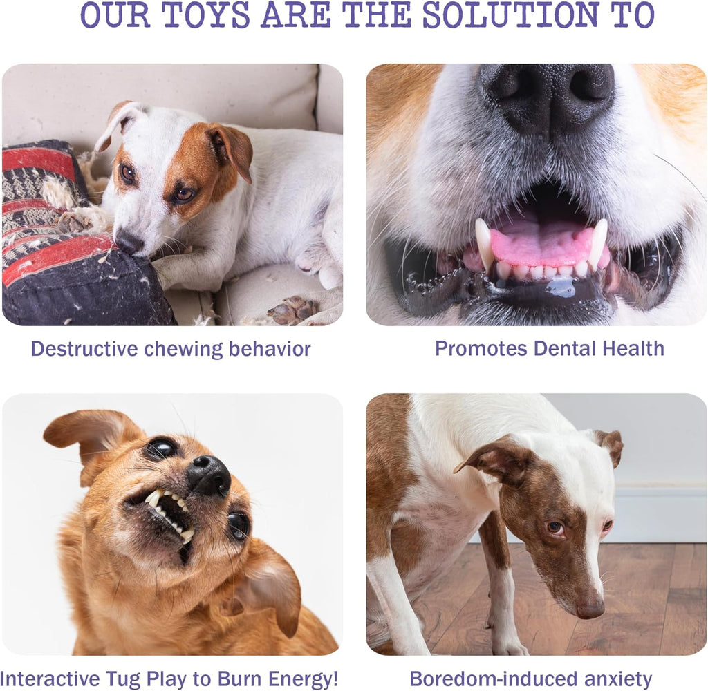 No-Stuffing Bunny Squeaky Dog Toy for Aggressive Chewers, Tear-Resistant Plush Puppy Teething Toy to Keep Them Busy, Tough Interactive Tug of War & Dental Chew for Small Medium Large Dogs