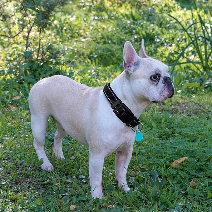 Reflective Dog Collar Padded with Soft Neoprene Breathable Adjustable Nylon Dog Collars for Small Medium Large Dogs (Small (Pack of 1), Black Collar+Leash)