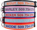GoTags Reflective Personalized Dog Collar, Custom Embroidered with Pet Name and Phone Number in Black for Boy and Girl Dogs, 3 Adjustable Sizes, Small, Medium, and Large
