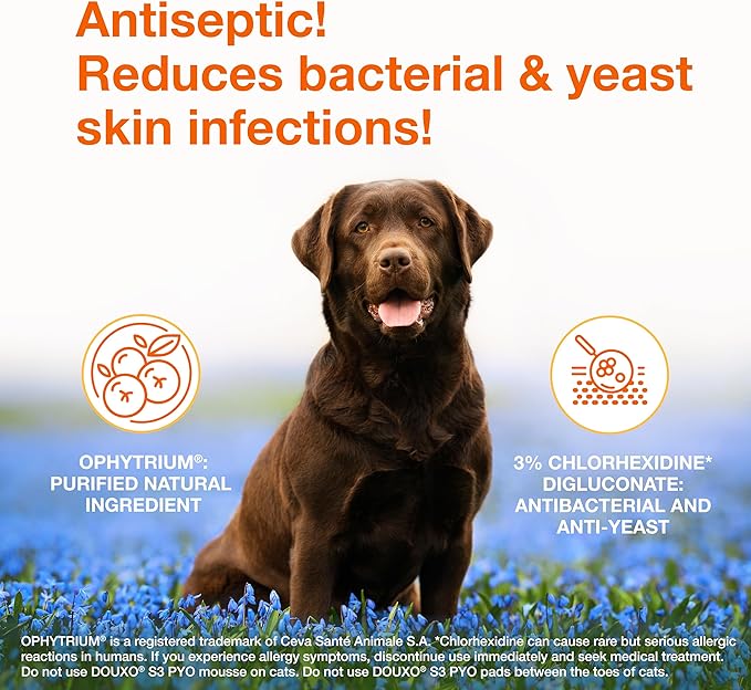 Douxo S3 Pyo Shampoo, Contains 3% Chlorhexidine & 0.5% Ophytrium, Antiseptic & Hydrating, For Bacterial or Yeast Skin Infections, For Dogs and Cats, 6.7 fl. oz. (200mL)