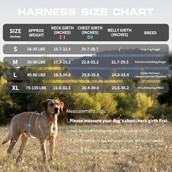 Tactical Dog Harness Medium Sized, Heavy Duty No Pull Dog Harness with Handle, Easy On and Off Service Dog Vest with Molle System, Reflective Pet Vest for Walking Hiking Training