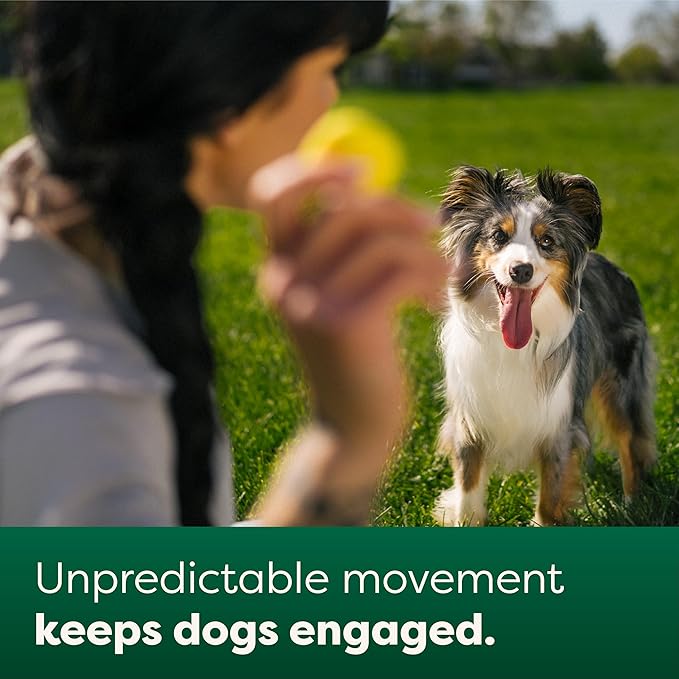 Earth Rated Dog Ball, Interactive Fetch Toy for All Breeds, Comes in Multiple Sizes, Made with Natural Rubber, Perfect for Indoor and Outdoor Use, Medium, Yellow