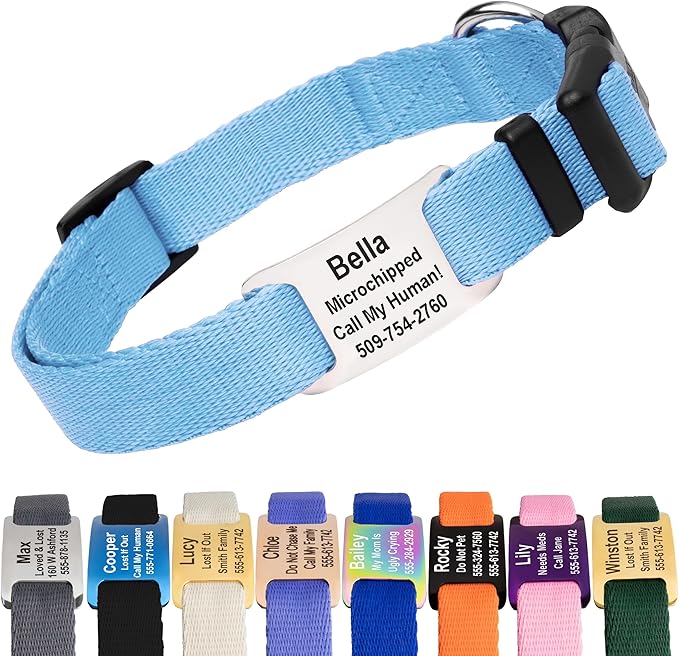 GoTags Personalized Dog Collar with Nameplate, Adjustable Dog Collar with Custom Engraved Slide On Pet ID Tag in Stainless Steel, Silent, No Noise Dog Tag (Light Blue, Small)