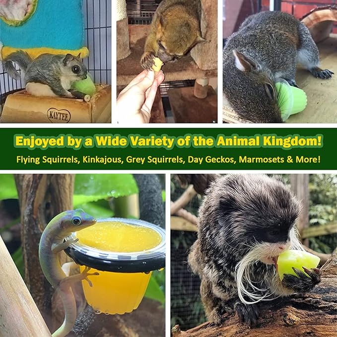 Nectar Pods (Yogurt) - Calcium-Fortified Jelly Fruit Treat - Sugar Gliders, Marmosets, Squirrels, Parrots, Cockatiels, Parakeets, Lovebirds, Conures, Hamsters, Day Geckos, Kinkajous & Other Small Pets