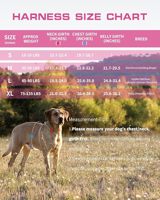 Dog Harness for Large Dogs Heavy Duty, No Pull Tactical Dog Harness with Molle System, Easy On and Off Service Dog Vest, Breathable Padded, Adjustable Reflective Pet Vest for Walking Hiking Training