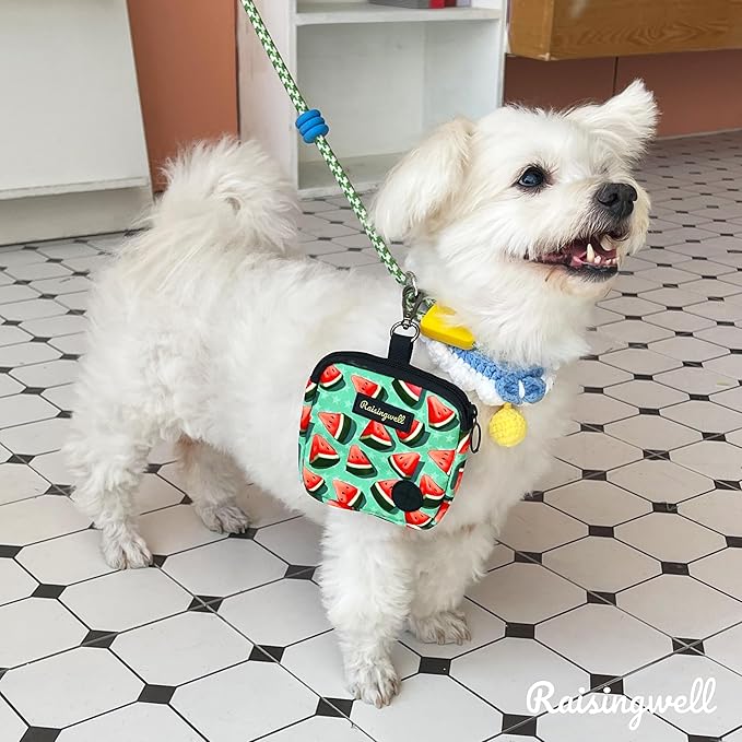 Dog Treat Pouch for Pet Walking and Training with Clicker Poop Bags Small Fanny Zipper Pack Holder for Puppy Snack Dispenser Kit for Leash and Outdoor Use (Watermelon)