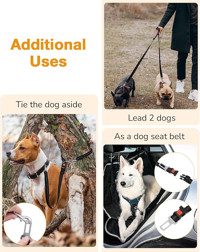 Pecute Hands Free Dog Leash with Pouch, Waist Belt Fanny Pack with Soft Pads, Dual Handles and Durable Bungee for Walking, Dog Seat Belt, Hiking, Running, Training, Purple(Up to 150lbs)