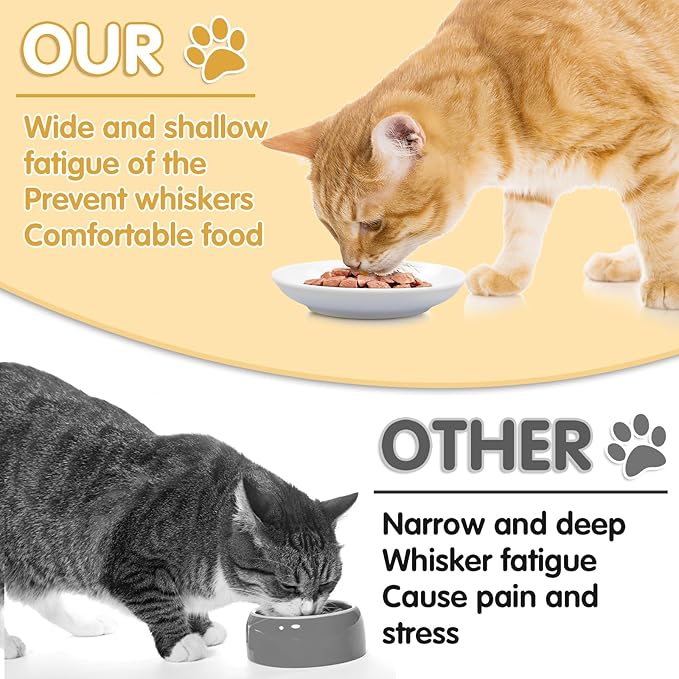 6 Pack Cat Food Bowl, Ceramic Cat Bowls, Anti Whisker Fatigue Cats Bowl Set,5.5 Inches Shallow Wide Kitten Plates for Food and Water