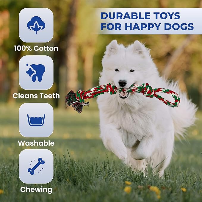 Pup Quartet Dog Rope Toy for Aggressive Chewers 2-Pack Tug of War Dog Toy with Thick Knots Heavy Duty Rop Toys for Dogs – Indestructible Rope Chew Toys for Medium & Large Dogs