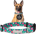 Lucky Love Dog - Adjustable Dog Collar with Easy Click Buckle for Small to Large Dogs, Durable, & Comfortable for Male & Female Dogs, Pet Collar for Puppies & Adult Ones - Penny, Large