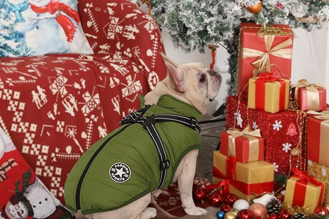 Aiboria Dog Jackets for Winter Windproof Waterproof 2 in 1 Outfit Cold Weather Coat Dog Vest Harness Puppy Winter Warm Jacket Green 4XL