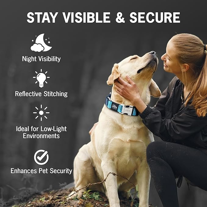 Blue Martingale Collar for Dogs - Heavy Duty Nylon Pet Collars for Escape-Free, No Pull Training & Walking with Alloy Metal Release Buckle & Reflective D Ring, One Time Adjustment, Safe & Secure