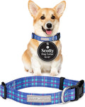 Lucky Love Dog - Adjustable Dog Collar with Easy Click Buckle for Small to Large Dogs, Durable, & Comfortable for Male & Female Dogs, Pet Collar for Puppies & Adult Ones - Scotty, Small