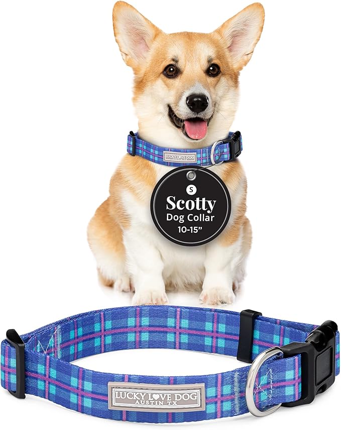 Lucky Love Dog - Adjustable Dog Collar with Easy Click Buckle for Small to Large Dogs, Durable, & Comfortable for Male & Female Dogs, Pet Collar for Puppies & Adult Ones - Scotty, Small