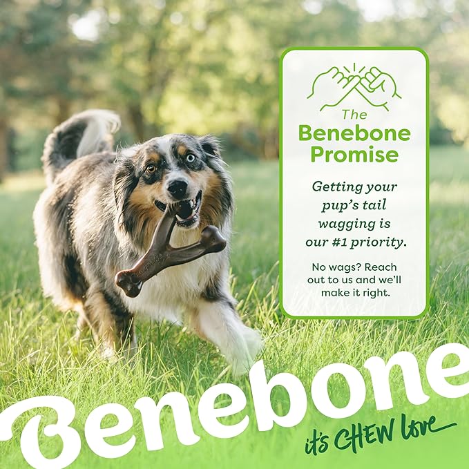 Benebone Peanut Butter Flavored Wishbone Chew Toy