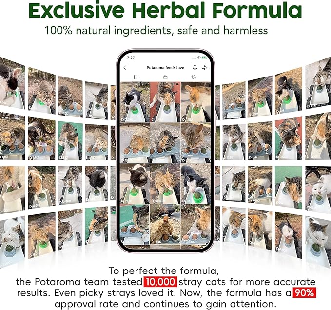 Potaroma Catnip Toys Balls 4 Pcs, Extra Cat Energy Ball, Edible Kitten Silvervine Toys for Cats Lick, Healthy Kitty Teeth Cleaning Dental Chew Toys, Cat Wall Treats (Green)