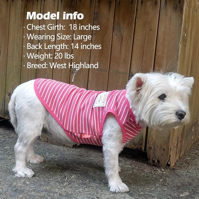 KYEESE 2Pack Dog Shirts Striped for Small Dogs Soft Stretchy Dog T-Shirts Lightweight Tank Top Sleeveless Vest Breathable Cat Outfit, Small, Rose Red+Blue