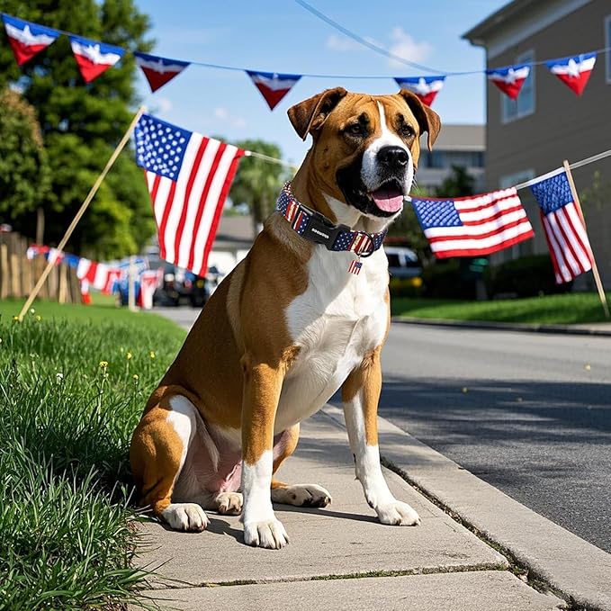 DOGWONG American Flag Dog Collar, Patriotic Independence Day Dog Collar Durable Soft Fabric Pet Dog Collars US Flag Boy Puppy Necklace for Small Medium Large Dogs