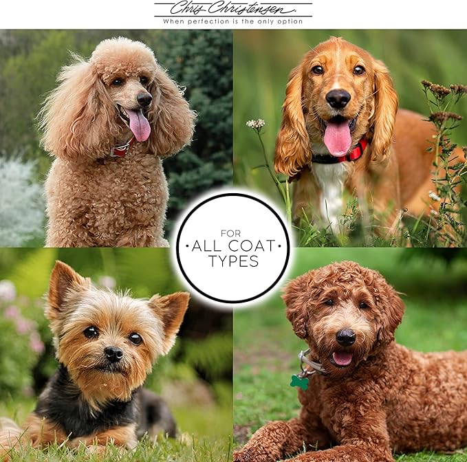 Chris Christensen Karben I Slicker Brush for Dogs, Groom Like a Professional, Ideal For All Coat Types, Remove Shedding Coat, Tangles and Dead Undercoat, 17 mm Stainless Steel Pins, Extra Small