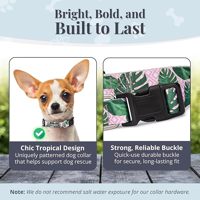 Lucky Love Dog, Tropical Matching Dog Collar & Leash Set, Soft & Comfy, Vivid Pink Color Collar and Leash for Female Male Dogs - (X-Small, Laguna Combo)