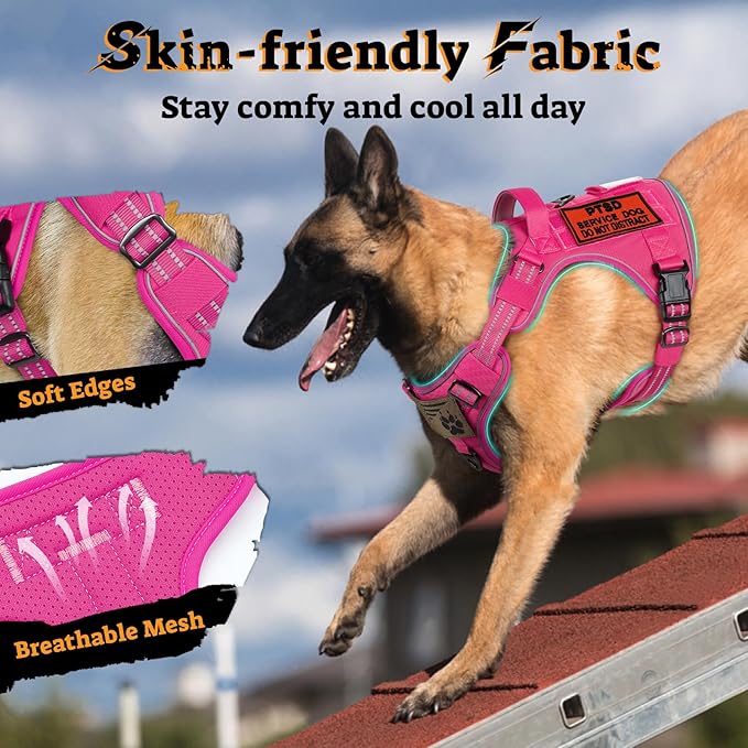 rabbitgoo Dog Harness for Large Dogs No Pull, Tactical Service Pet Vest with Molle and Control Handle, Adjustable and Reflective Military Harness for Easy Walking and Training, Rose Red, L