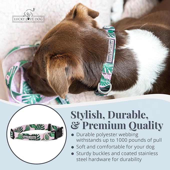 Lucky Love Dog - Adjustable Dog Collar with Easy Click Buckle for Small to Large Ones, Durable, & Comfortable for Male & Female Dogs, Pet Collar for Puppies & Adult Dogs - Laguna, Large