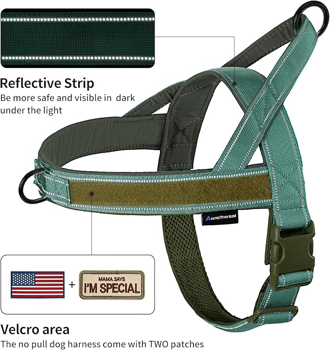 Annchwool No Pull Dog Harness with Soft Padded Handle,Reflective Strip Escape Proof and Quick Fit to Adjust Harness,Easy for Training Walking for Small & Medium and Large Dogs(Green,L)