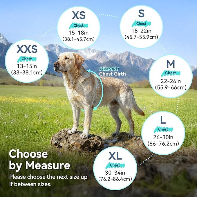 VIVAGLORY Wetoff Dog Raincoat, Rain Coat for Dog All Seasons Adventure, Rain Jacket with Harness Hole & Hood, Reflective Lightweight Waterproof for Doggy & Puppy, XXS, Orange