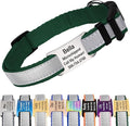 GoTags Reflective Personalized Dog Collar with Nameplate, Adjustable Dog Collar with Custom Engraved Steel Slide On Pet ID Tag, Silent, No Noise Dog Tag (Hunter Green, Medium)