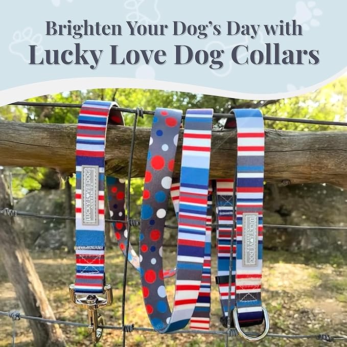 Lucky Love Dog - Adjustable Dog Collar with Easy Click Buckle for Small to Large Dogs, Durable, & Comfortable for Male & Female Dogs, Pet Collar for Puppies & Adult Ones - Linus, XS