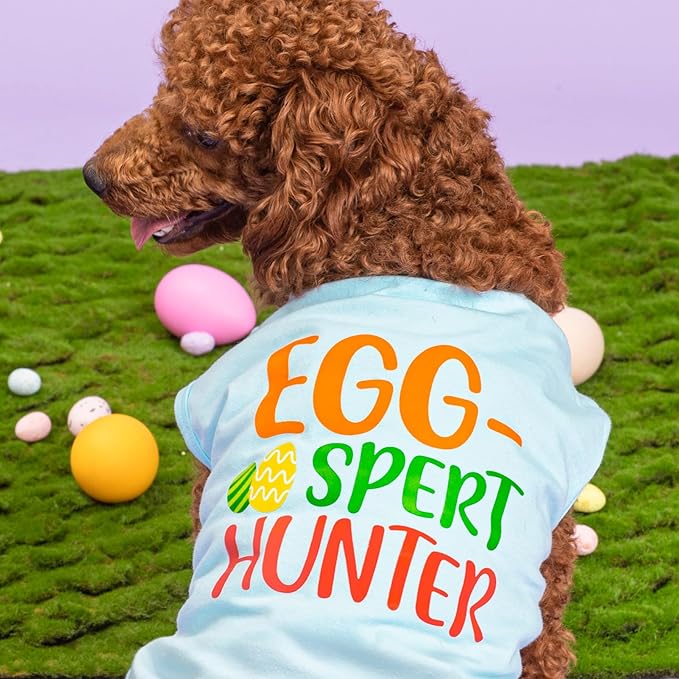 Fitwarm Egg-spert Hunter Dog Easter Outfit, Summer Clothes for Small Dogs Boy Girl, Pet Outfit, Blue, Red, Green, Orange, Large