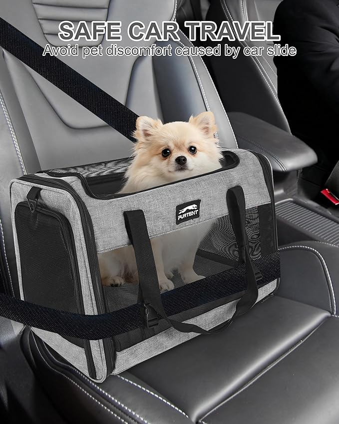 Soft-Sided Large Cat Carrier for 2 Cats, Spacious Foldable Pet Travel Carrier for Large Cats up to 25 Lbs, Double Cat Bag with Shoulder Strap, 20x13x13 Inch, Fits Maine Coon and Small Dogs, Grey