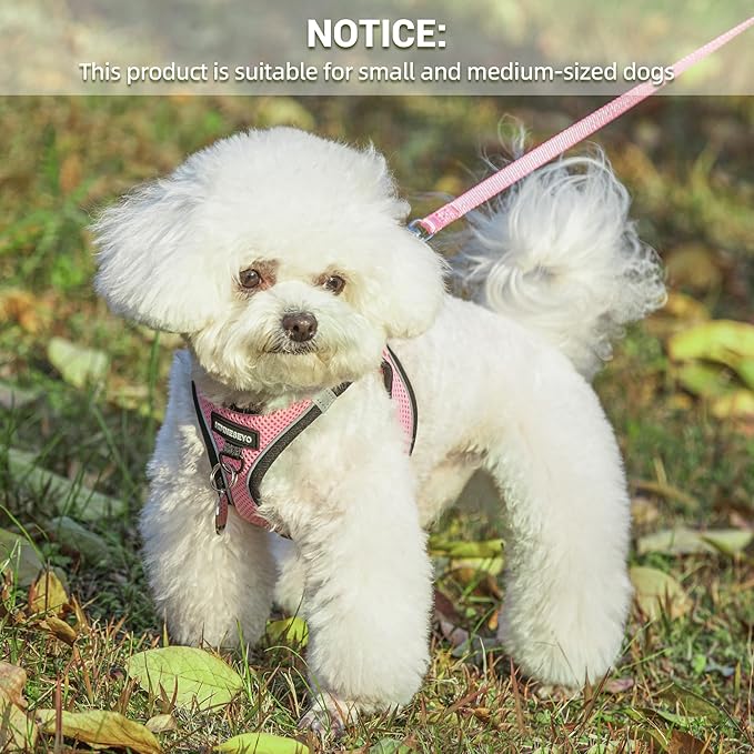 Dog Harness and Leash Set, Dog Harness for Dogs No Pull, No-Chock Step-in Reflective Breathable Lightweight Easy Walk Vest Harnesses with Safety Buckle for Small Medium Dogs, Cats (Pink, L)