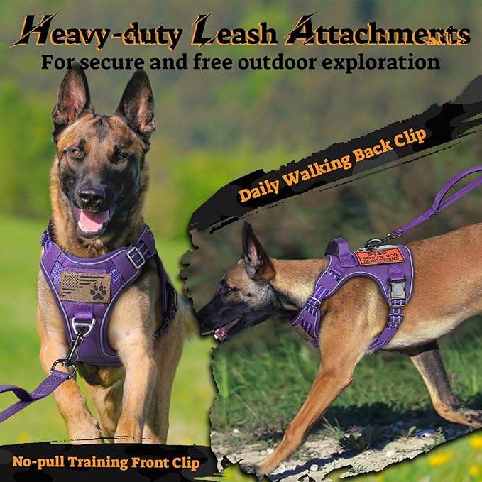 rabbitgoo Dog Harness for Large Dogs No Pull, Tactical Service Pet Vest with Molle and Control Handle, Adjustable and Reflective Military Harness for Easy Walking and Training, Purple, XL