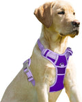 BARKBAY No Pull Dog Harness Front Clip Heavy Duty Reflective Easy Control Handle for Large Dog Walking(Violet Purple & Purple,M)