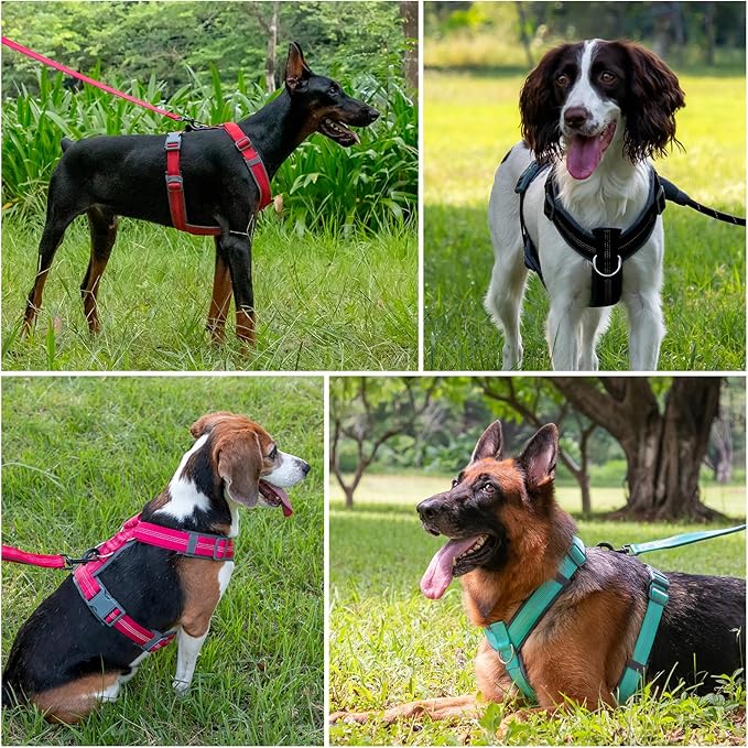 Plutus Pet No Pull Dog Harness, Adjustable Nylon Harness with Soft Padding, Reflective and Heavy Duty Dog Harness for Small, Medium, Large Dogs(Orange, XL)
