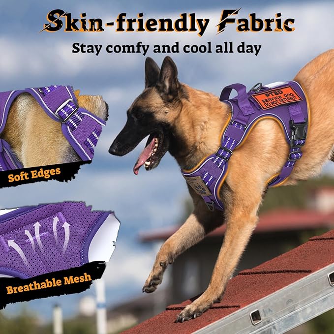 rabbitgoo Dog Harness Medium Sized No Pull, Tactical Service Pet Vest with Molle and Control Handle, Adjustable and Reflective Military Harness for Easy Walking and Training, Purple, M